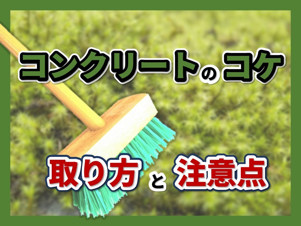 コンクリートにコケが生える原因は？効果的な取り方や注意点を徹底解説