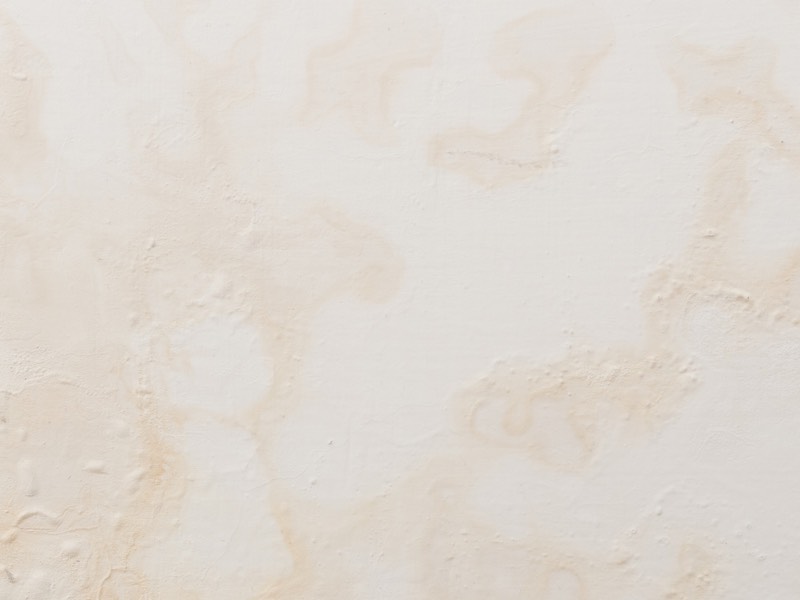 アク止めシーラー 木下地のアクを効果的に防止する方法 左官建材マガジン By ヤブ原産業