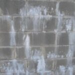 ブロック塀に付いた白い汚れ、白い粉の落とし方を徹底解説